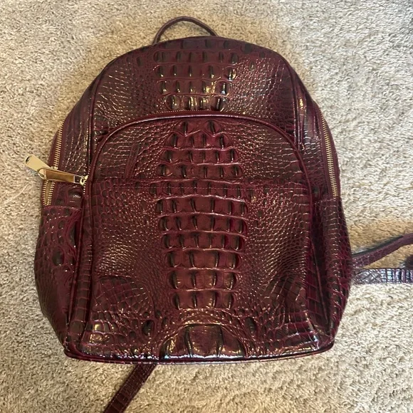 Burgundy Brahmin Backpack display picture 1